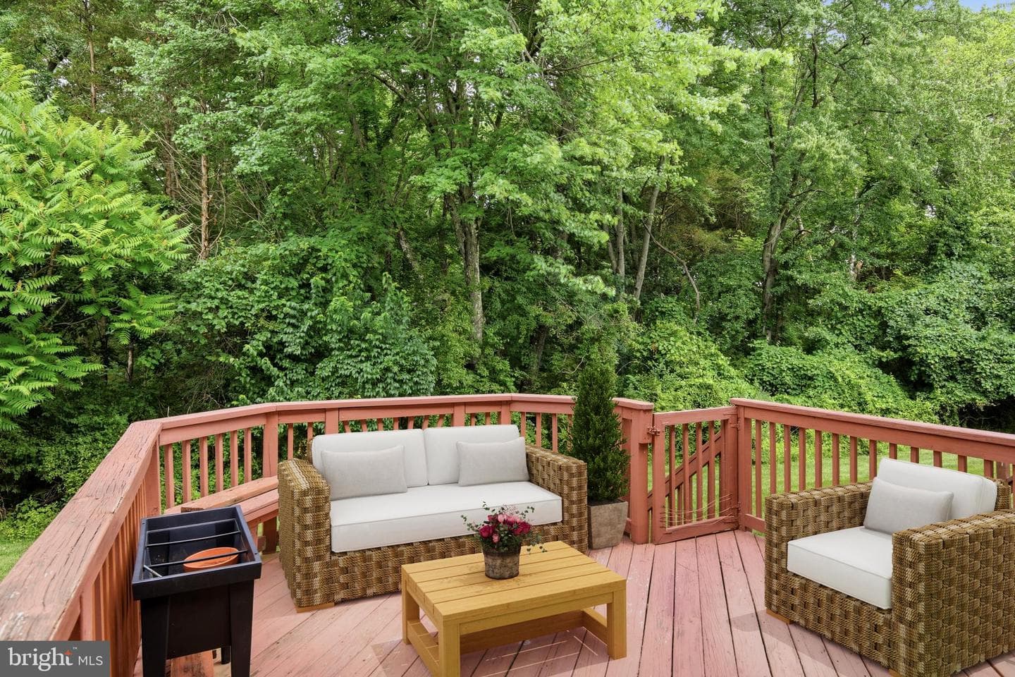 171 Vernon Court photo 30