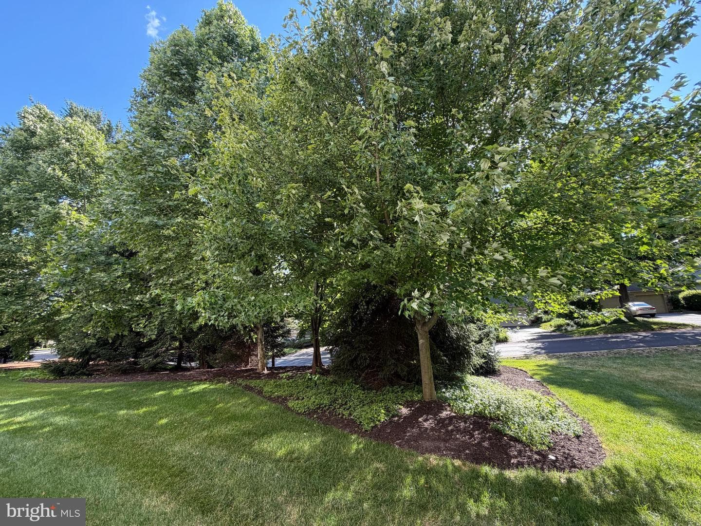 25 Breyer Court #25-E photo 12