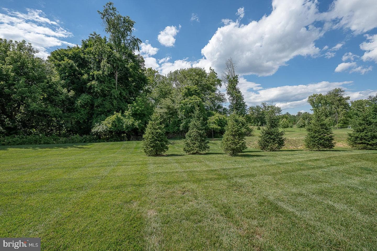 673 Levering Street photo 87