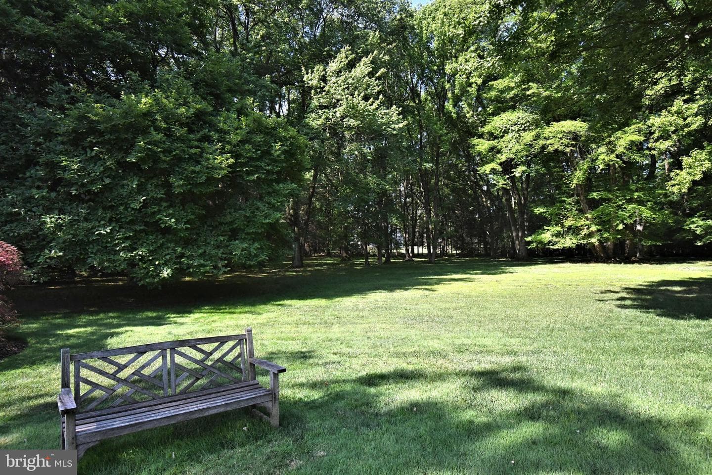 896 E Township Line Road photo 116