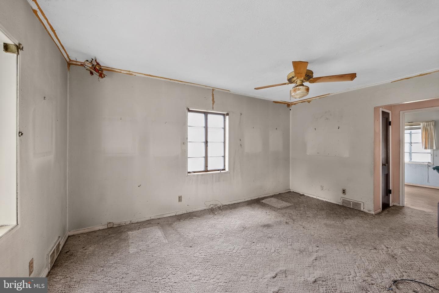 998 Park Drive photo 5