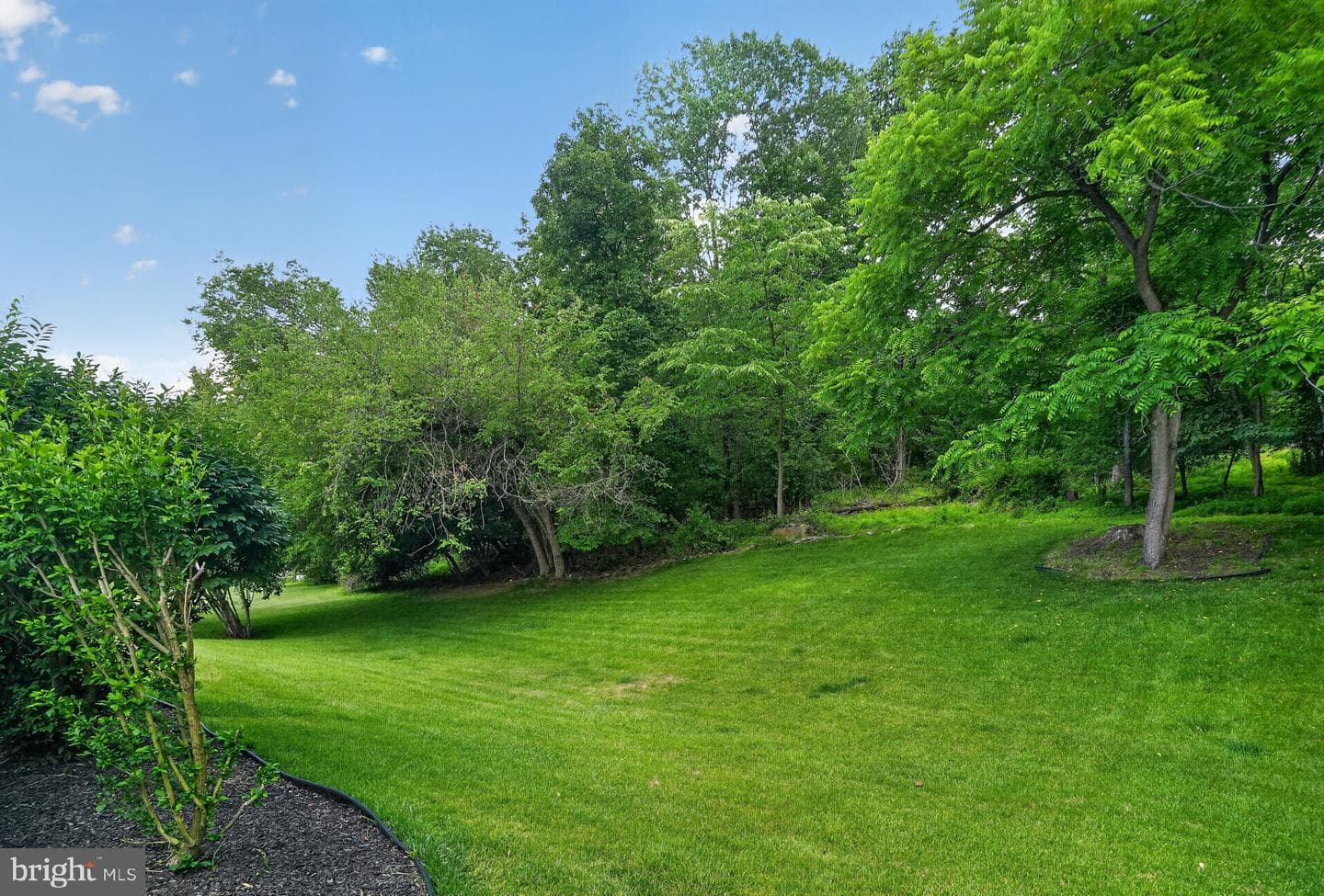 3025 Green Ridge Drive photo 6