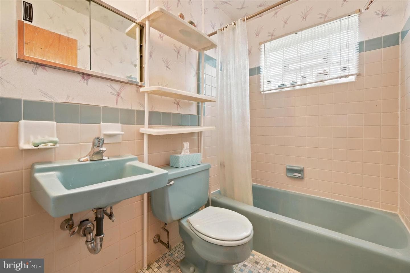 17 Loney Street photo 8