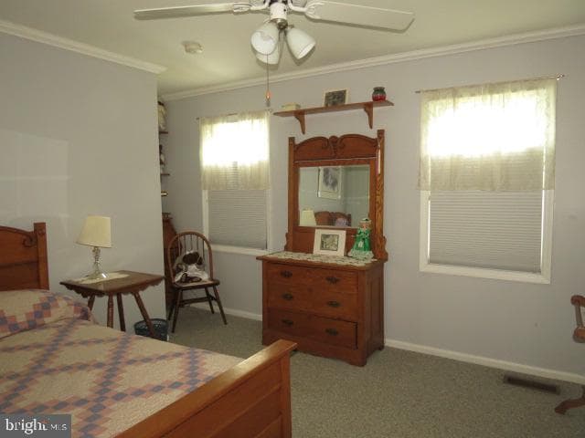 1120 Shepard Drive photo 17