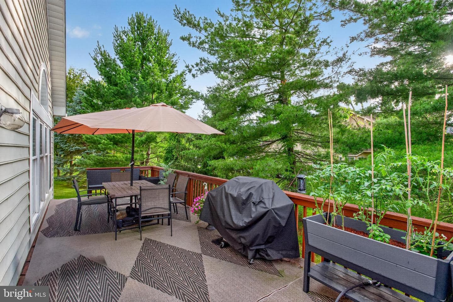 129 Birkdale Drive photo 34
