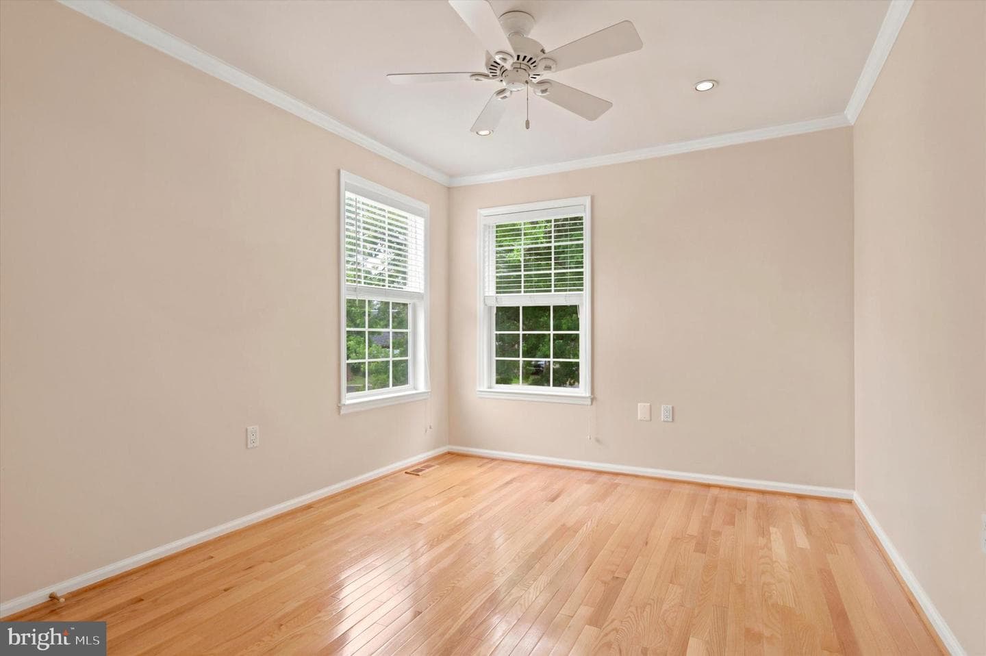 101 Raintree Crossing photo 21