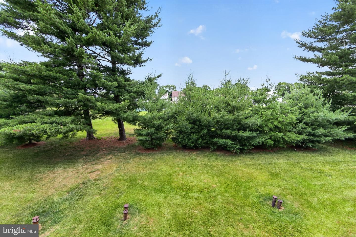 9 Linden Court photo 28