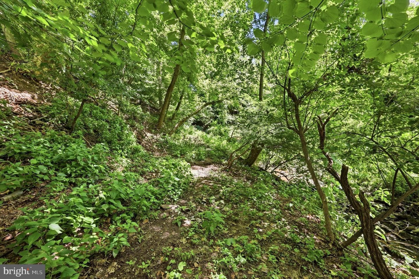 1105 Clark Road photo 48