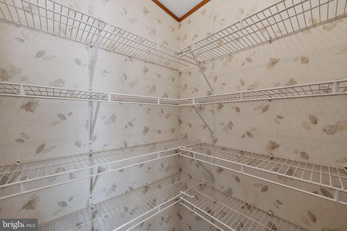 118 Dyer Court photo 29