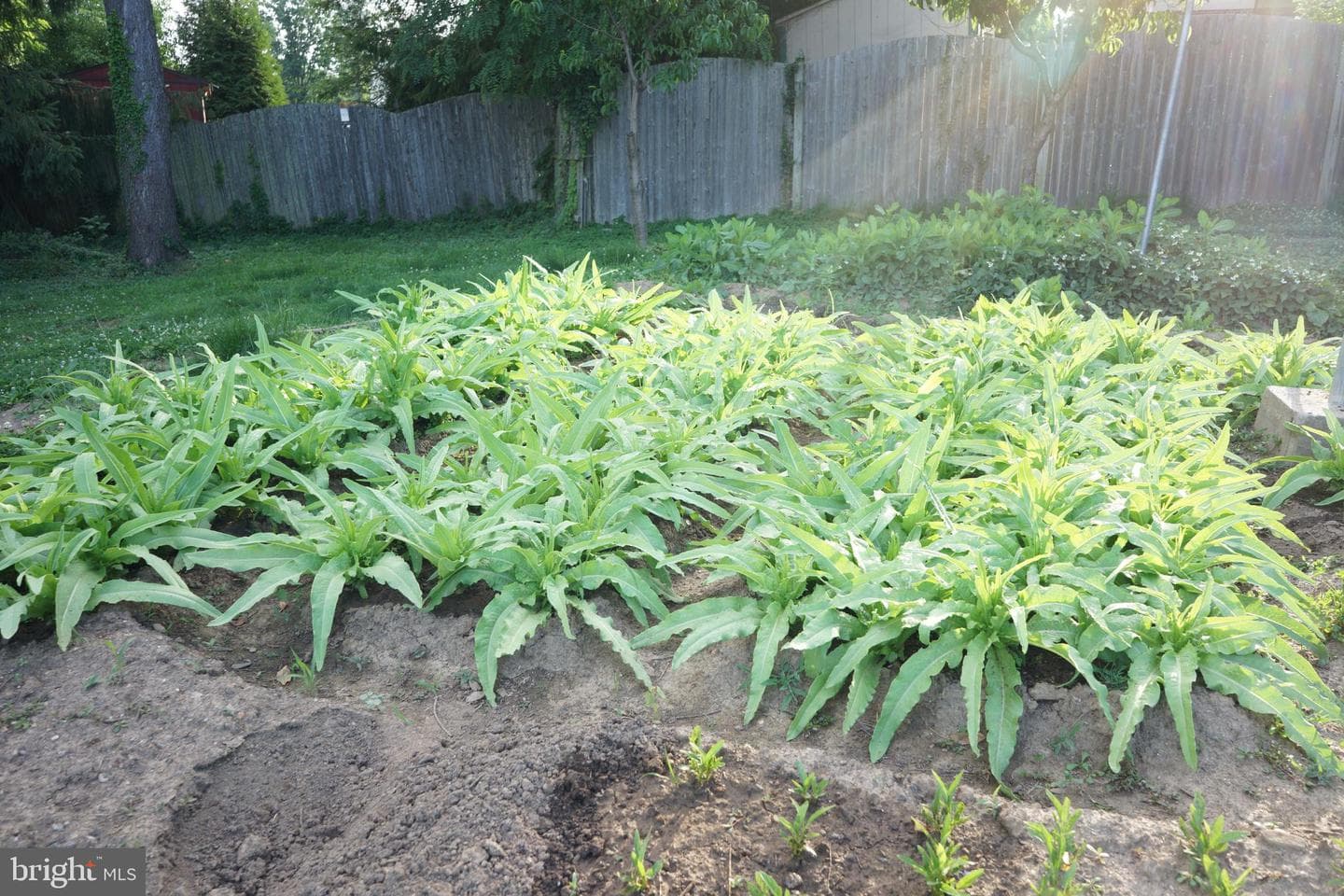 1104 Gainsboro Road photo 28