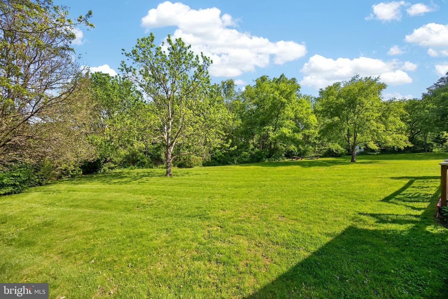 114 Memory Lane photo 53