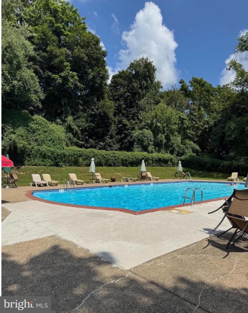 7900 Old York Road #609b, Elkins Park