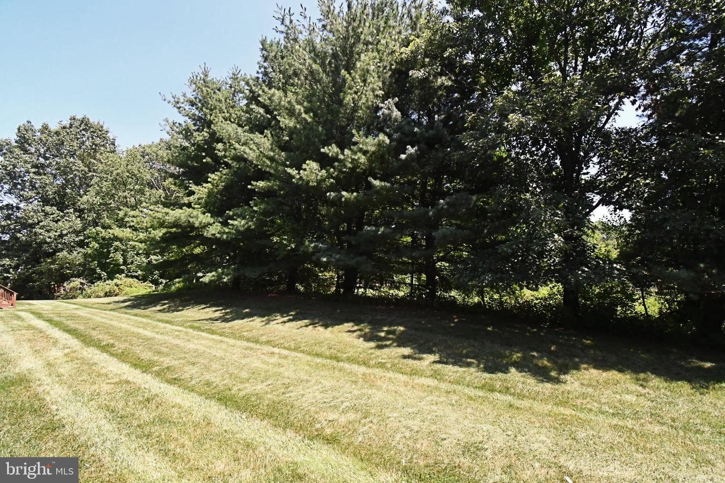 64 Hunt Club Drive photo 41