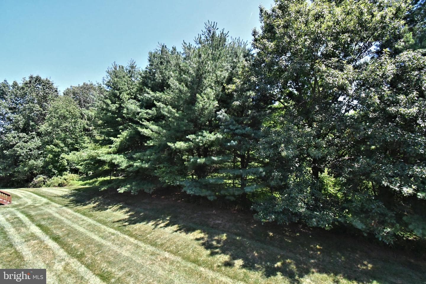 64 Hunt Club Drive photo 42