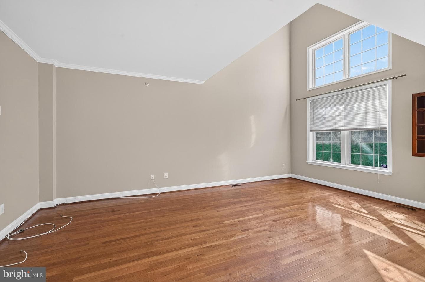 53 Cricket Drive photo 8