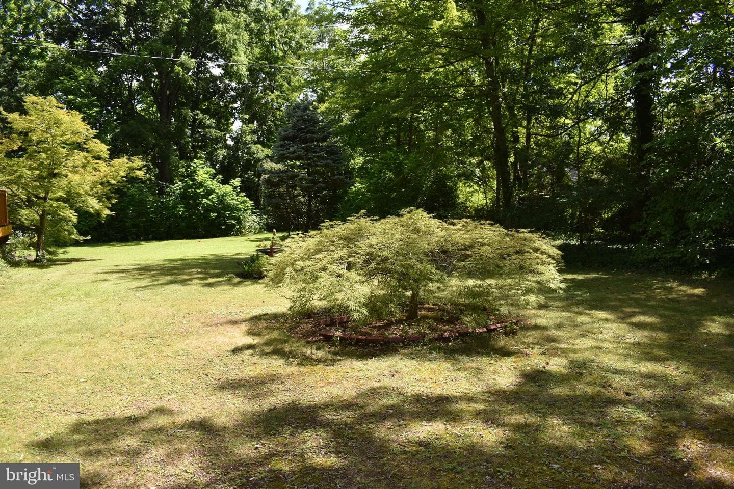 1109 Forest Avenue photo 5