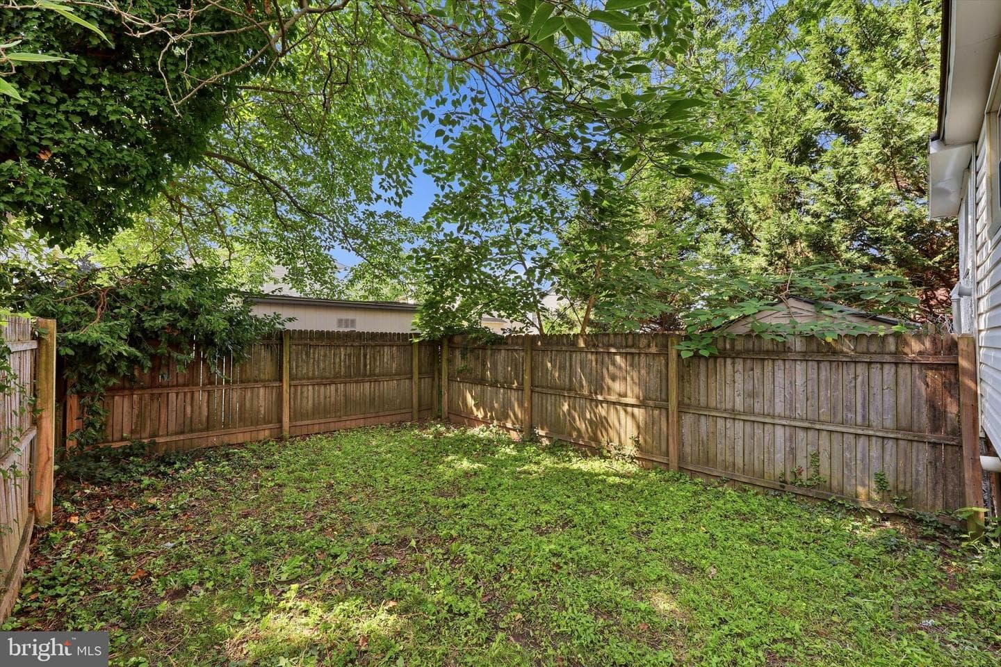 223 Sheas Terrace photo 15