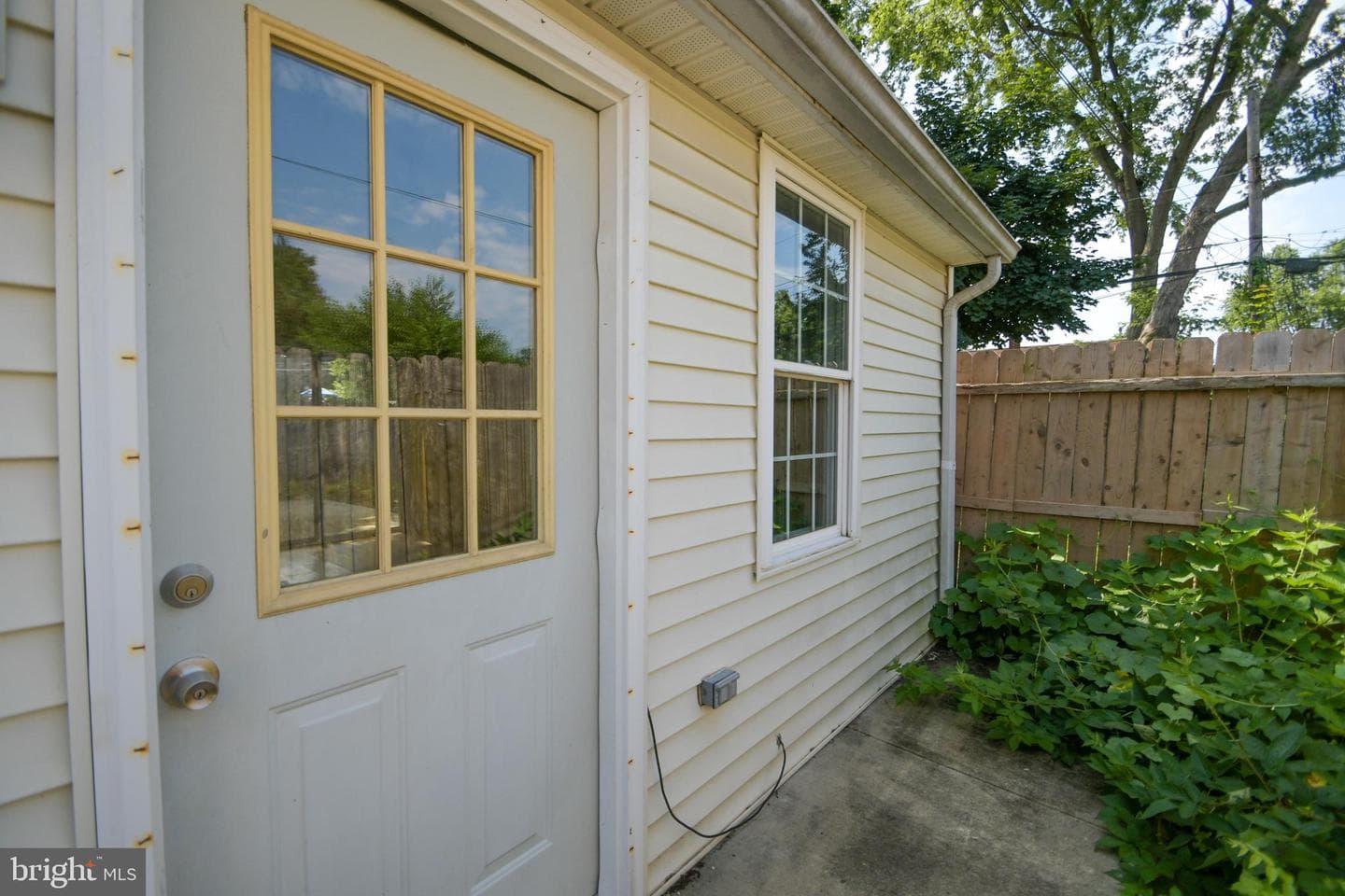 356 W Beech Street photo 5