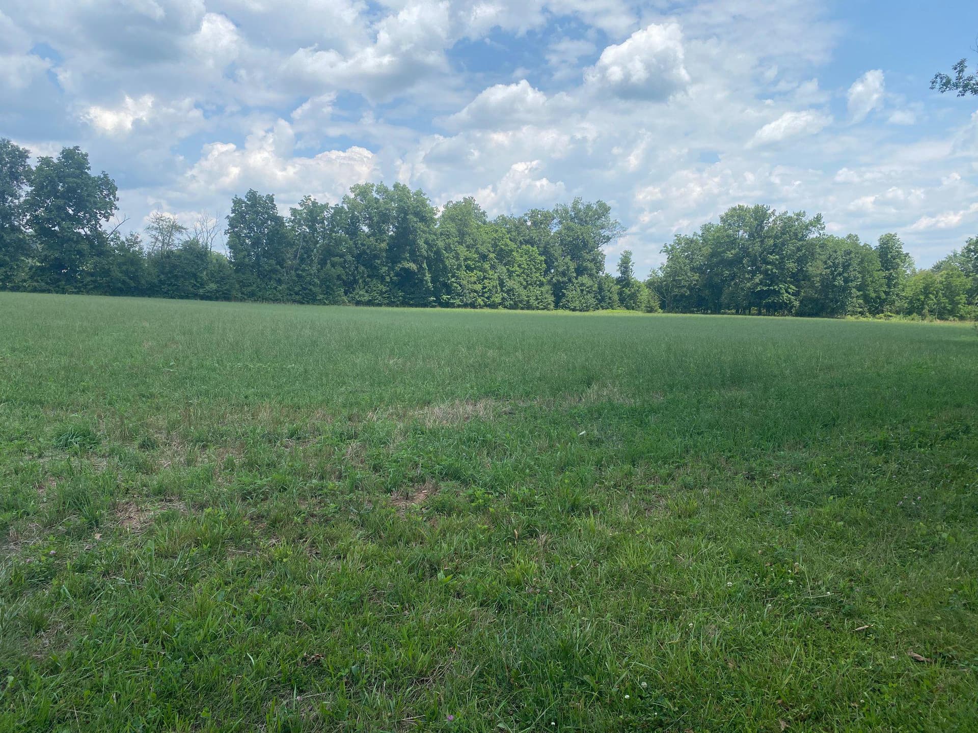 227 Schlegel Road photo 16