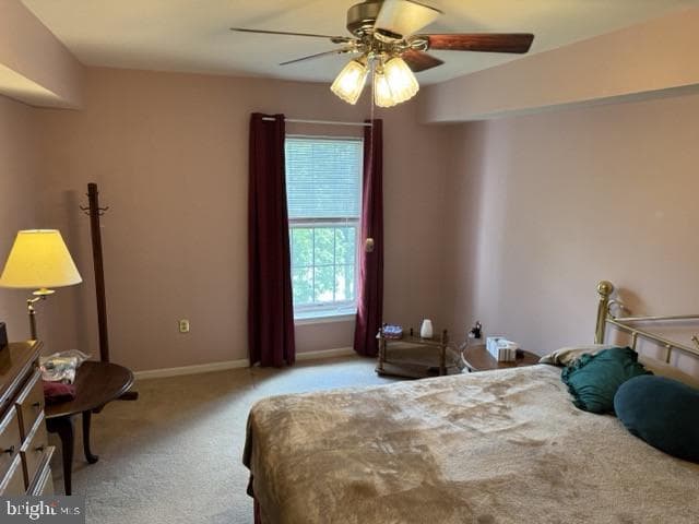 246 Brandon Road photo 18