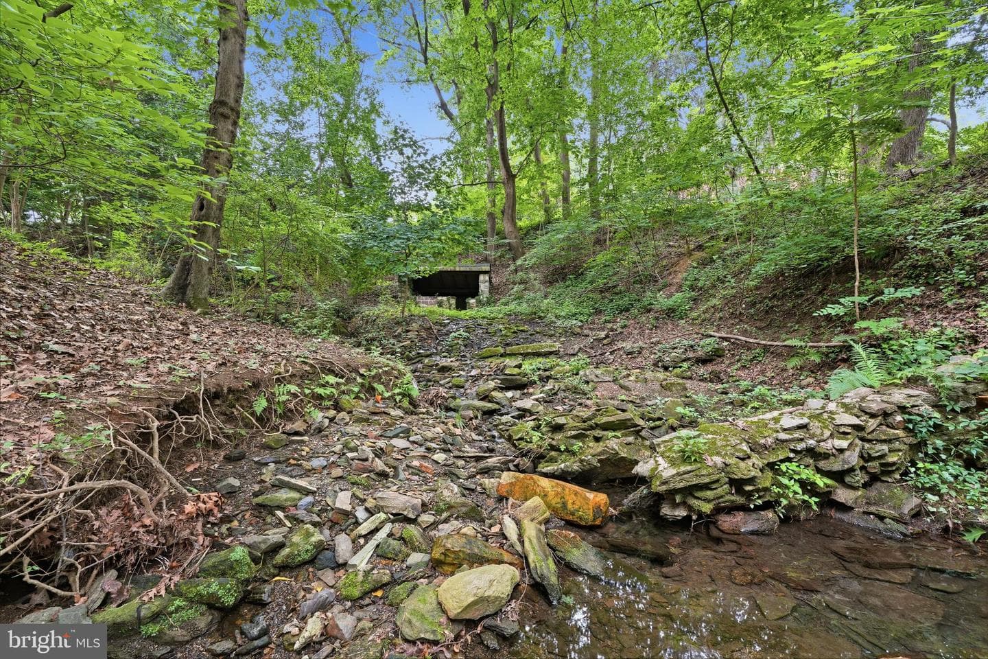 1132 Lindsay Lane photo 49
