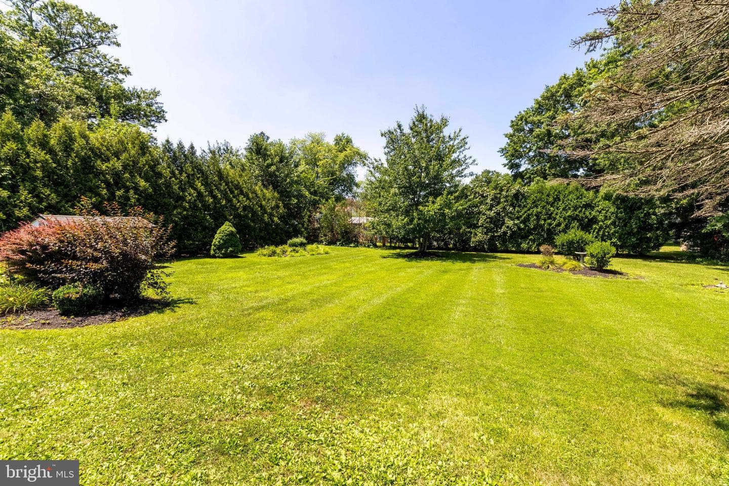 710 Elm Street photo 42