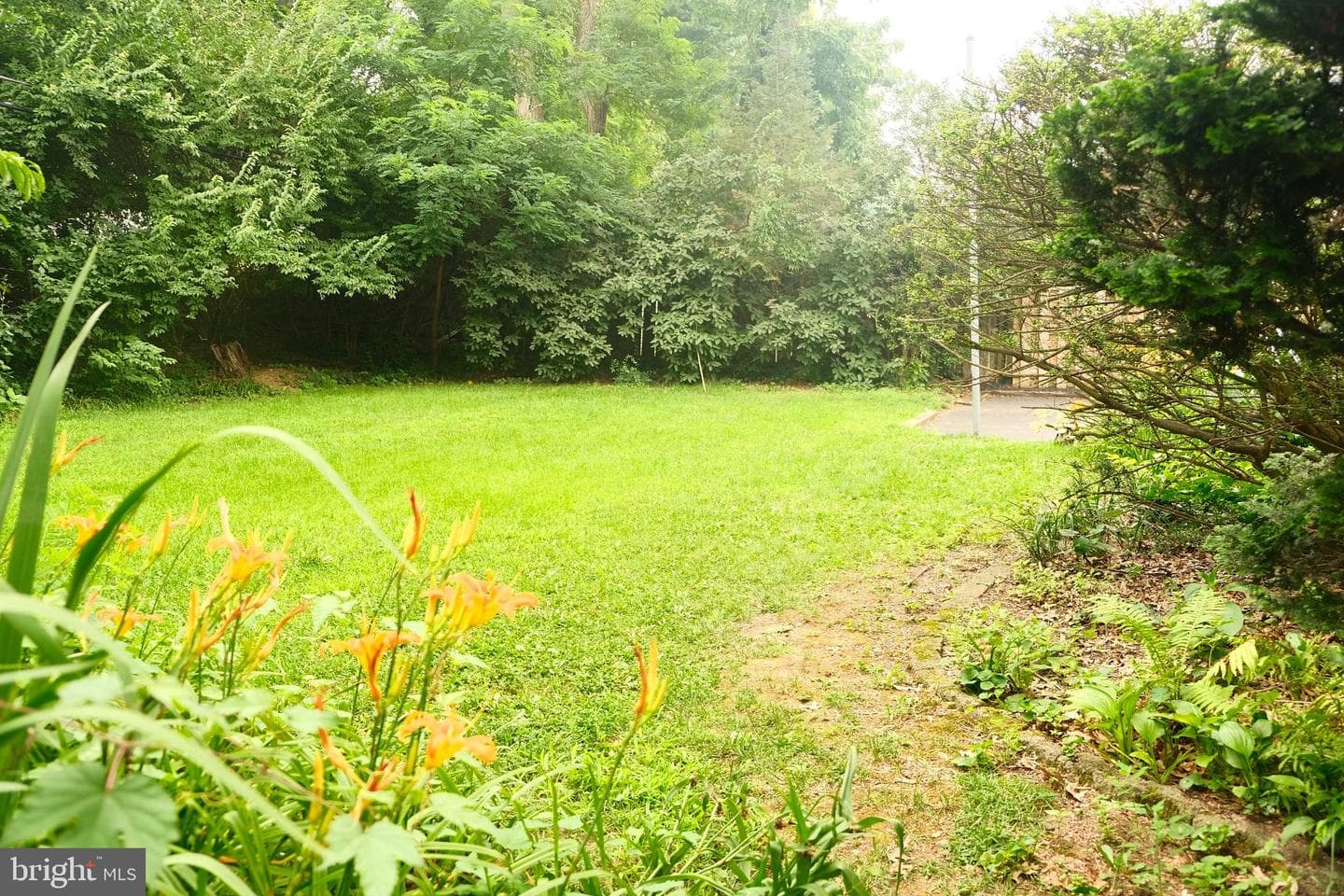 205 Windsor Avenue photo 22