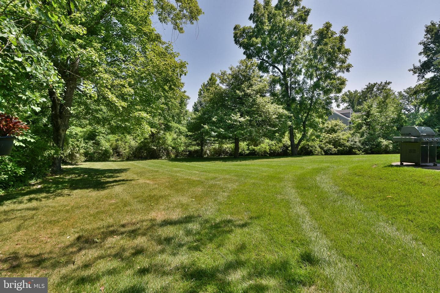 414 Forest Lane photo 49