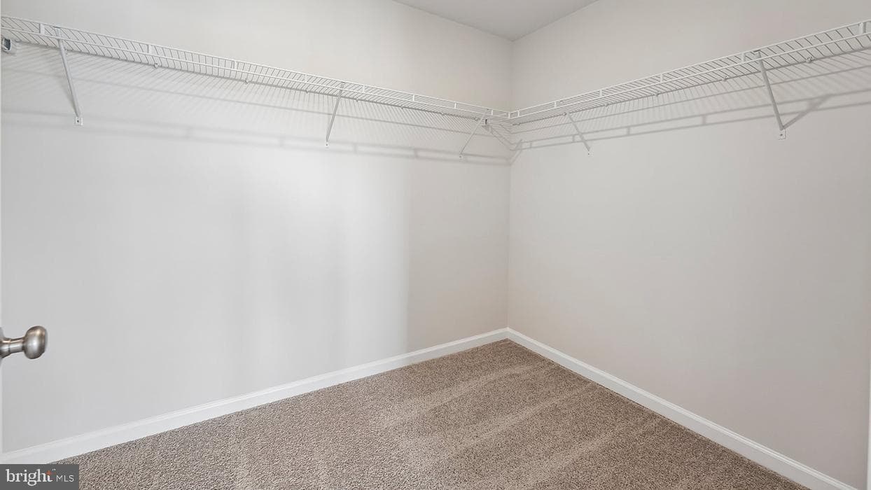 3043 Martha Way photo 19