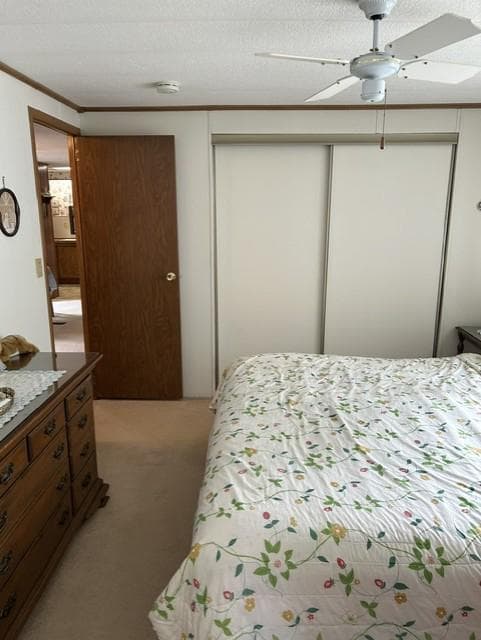 526 Ramblewood Lane photo 22