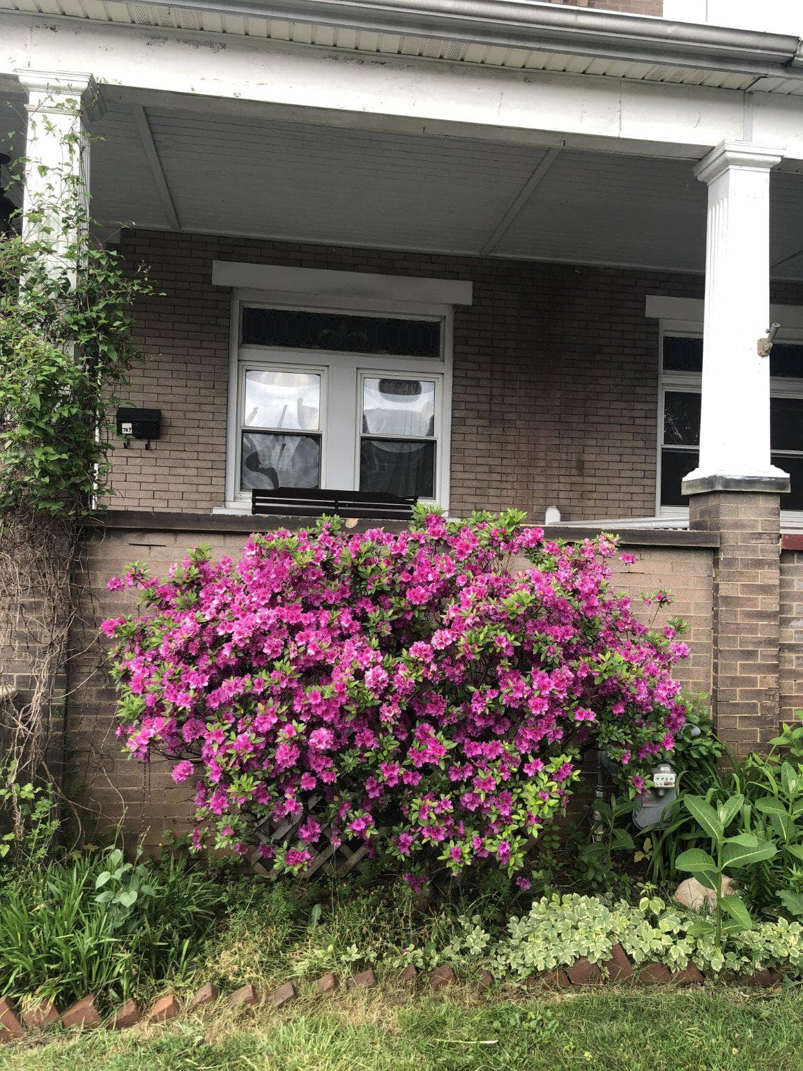 707 Stanbridge Street photo 41