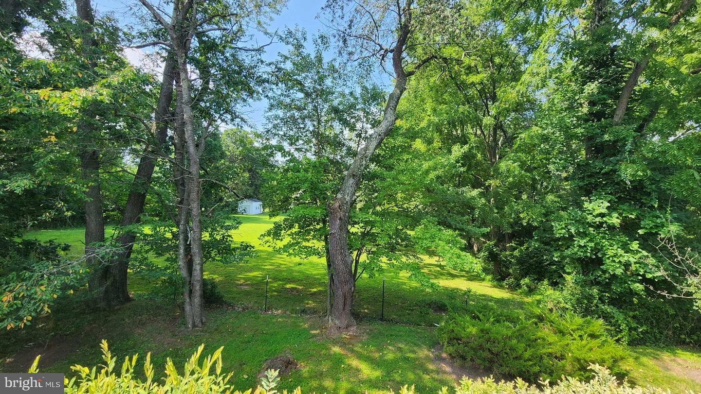 723 Village Avenue photo 5