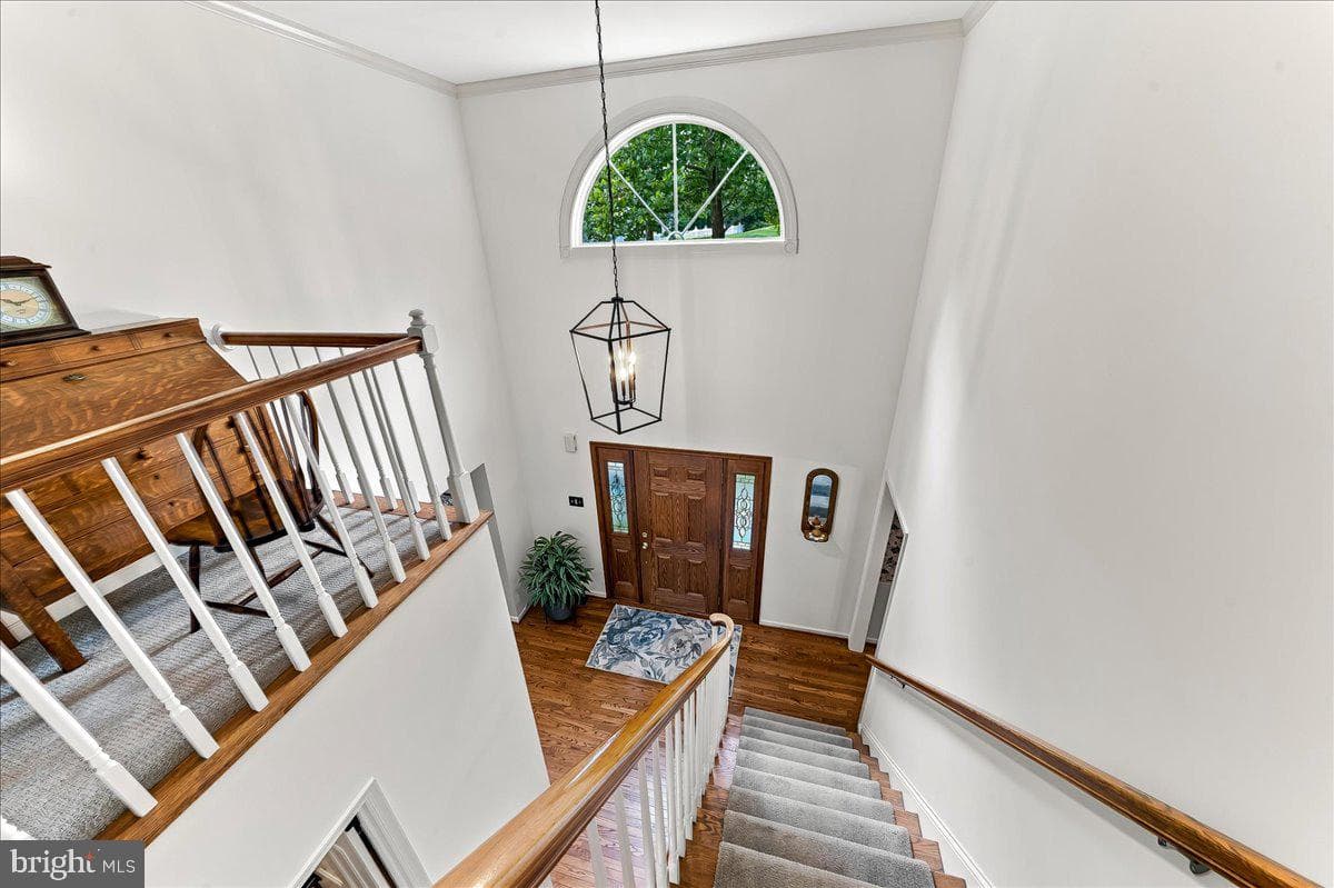 23 Cassell Road photo 23