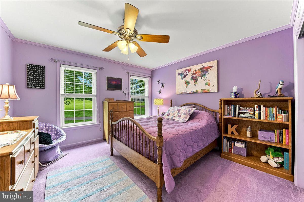 23 Cassell Road photo 29