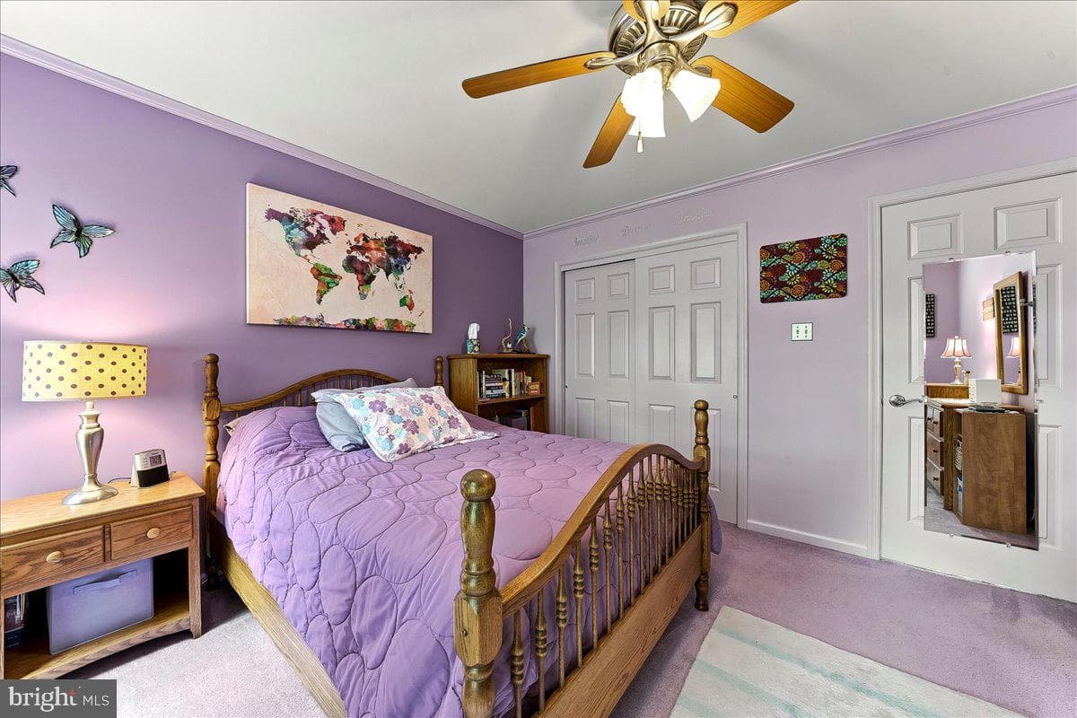 23 Cassell Road photo 30