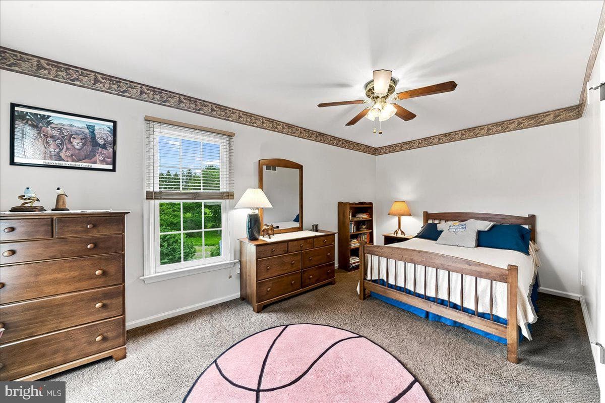 23 Cassell Road photo 31