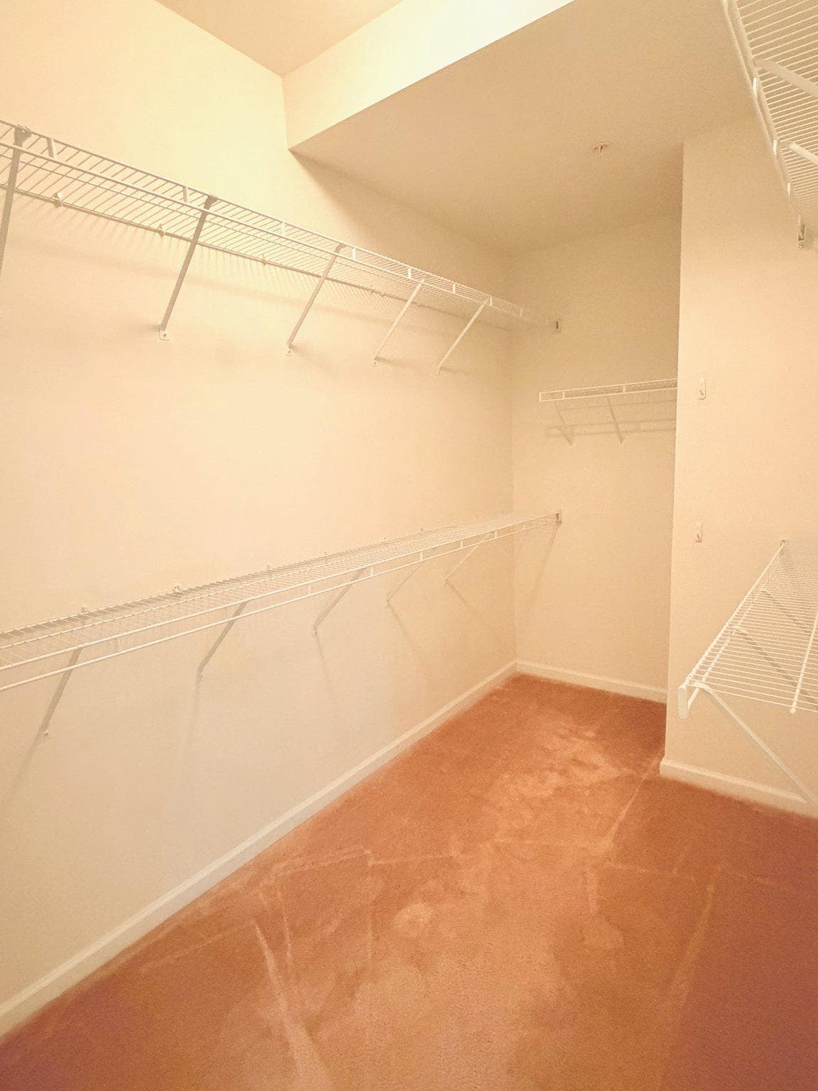 3106 Lilac Court photo 15