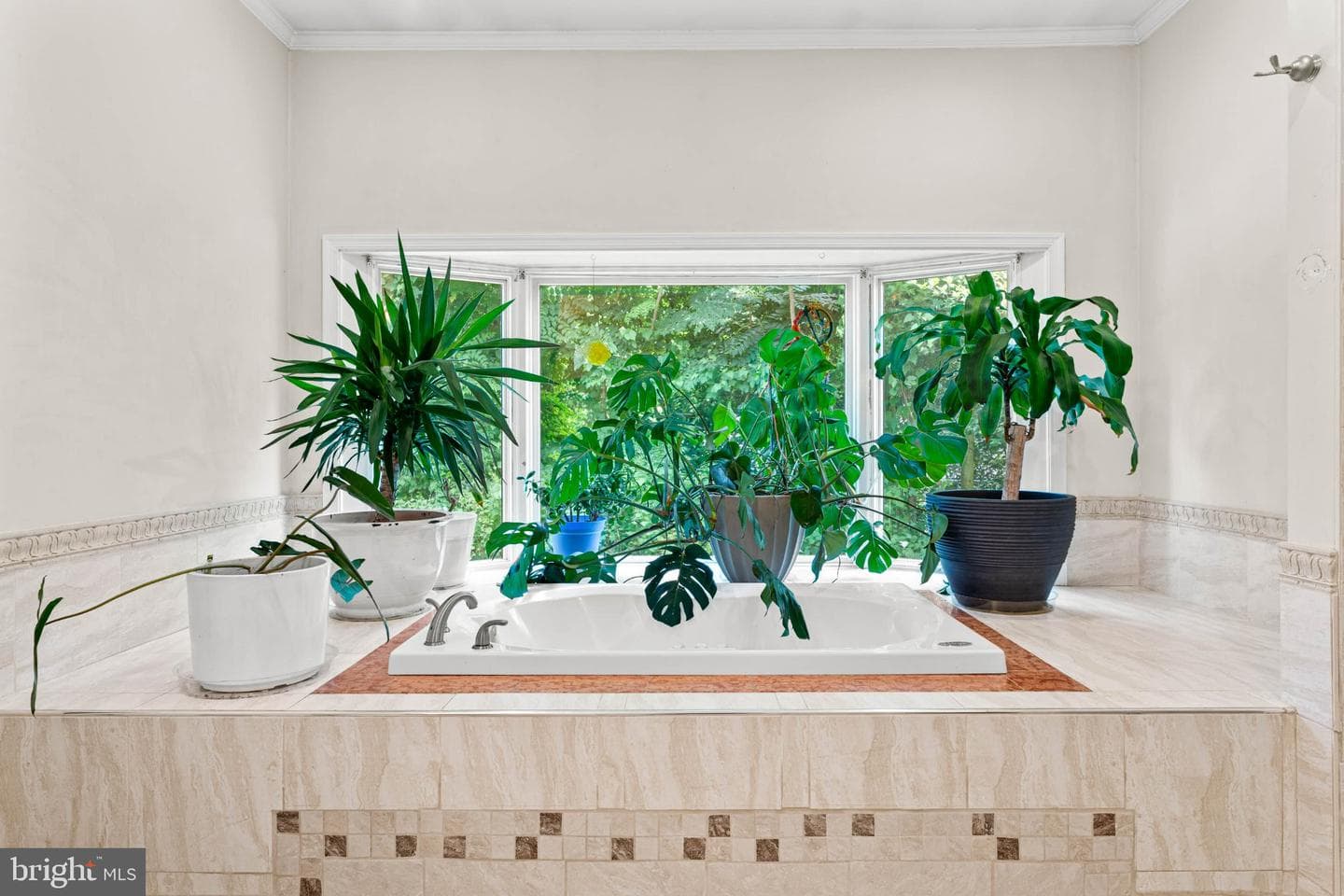 1162 Dewitt Road photo 31
