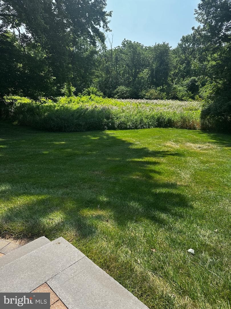 970 Clover Court photo 10