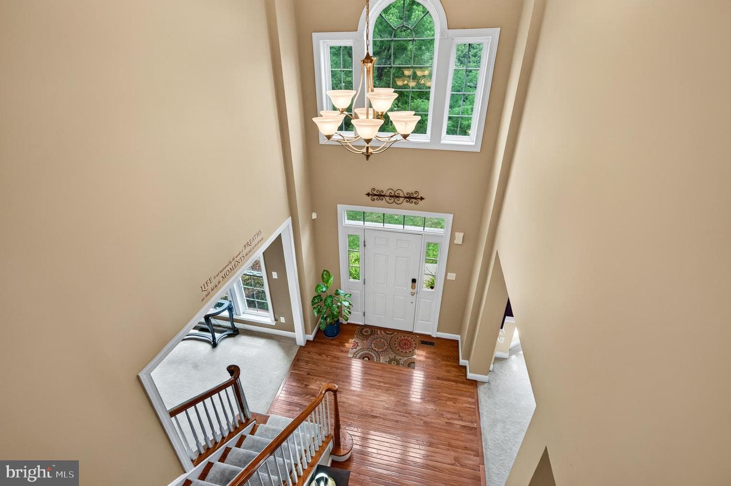 404 Maple Glen Circle photo 20