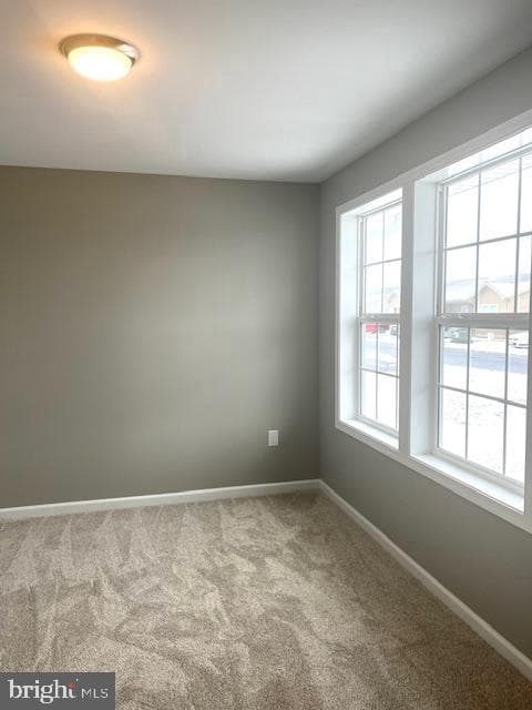 19 Pacific Avenue photo 11