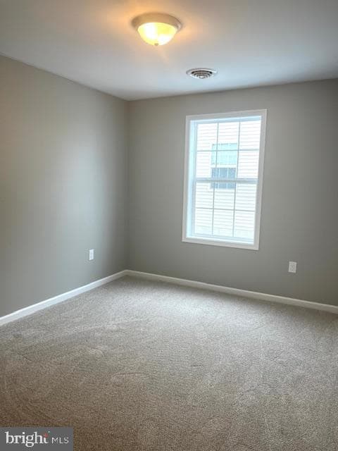 19 Pacific Avenue photo 9