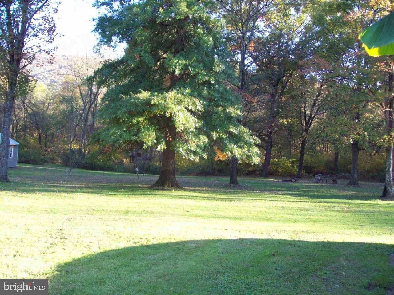 194 Mainline Road photo 31