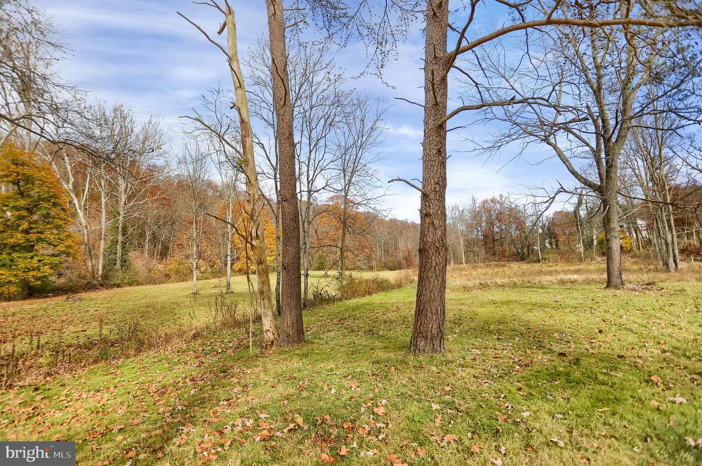 227 Jacks Creek Road photo 40