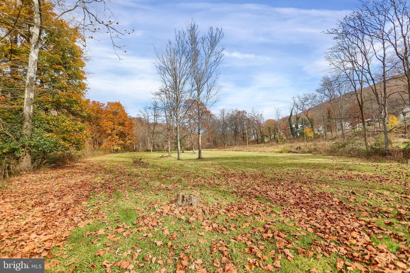 227 Jacks Creek Road photo 41
