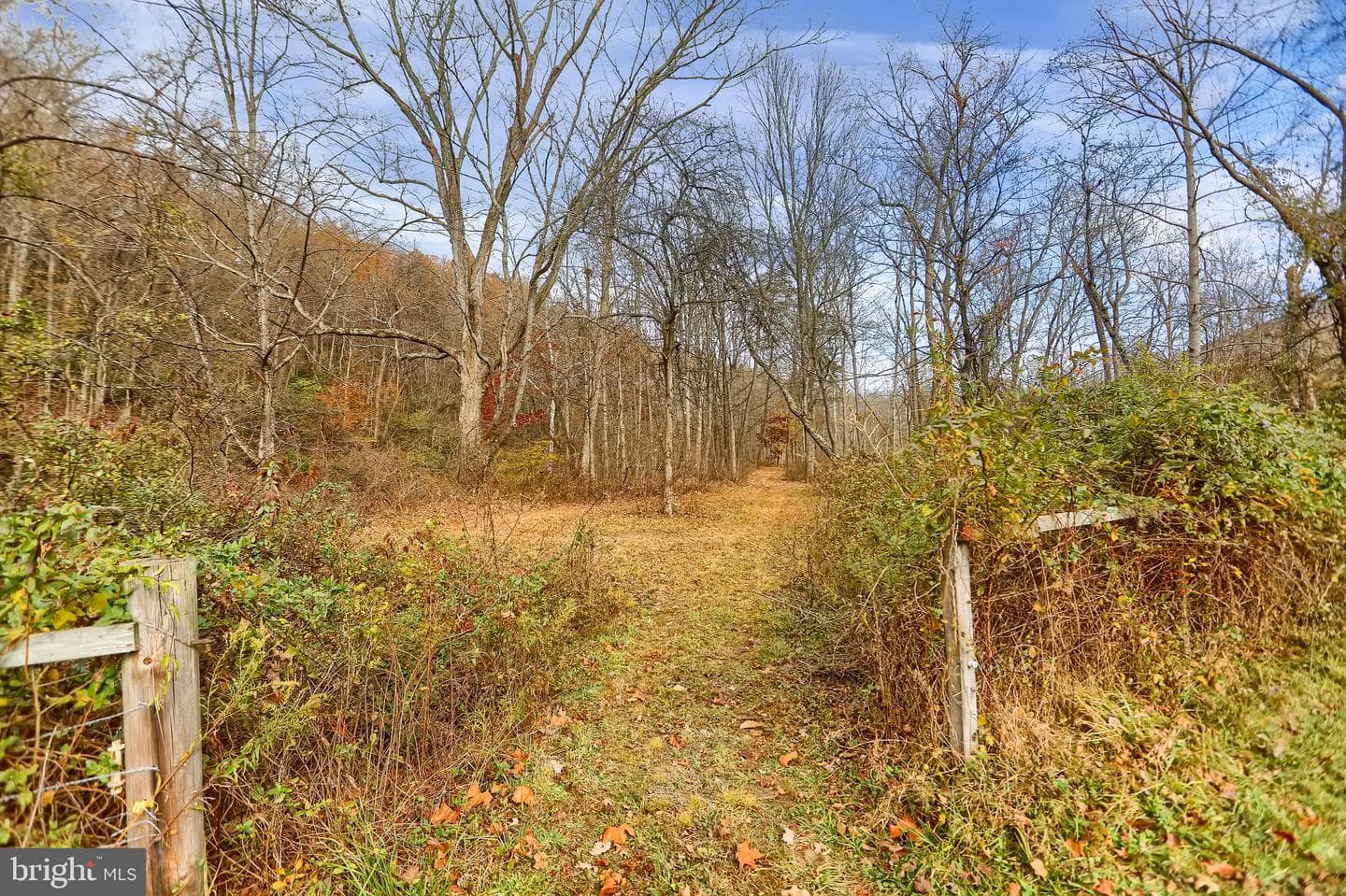 227 Jacks Creek Road photo 45