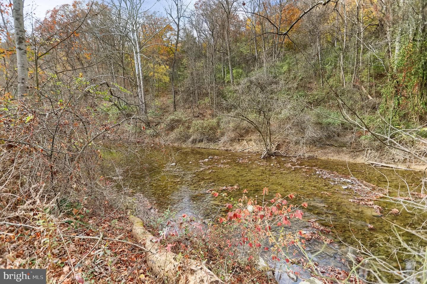 227 Jacks Creek Road photo 46