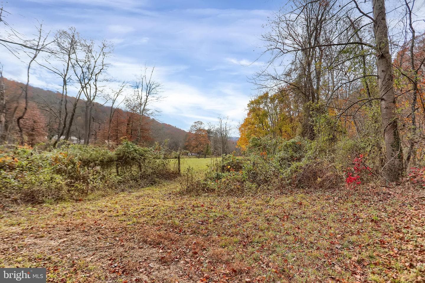 227 Jacks Creek Road photo 47