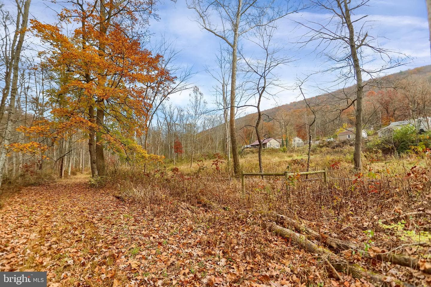227 Jacks Creek Road photo 48