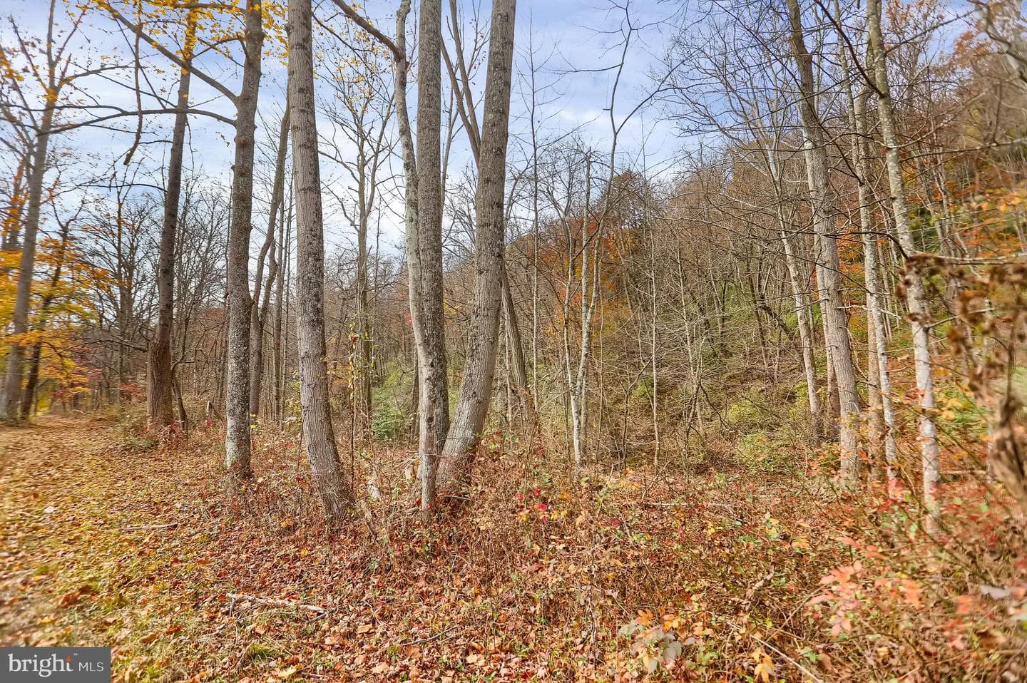 227 Jacks Creek Road photo 49